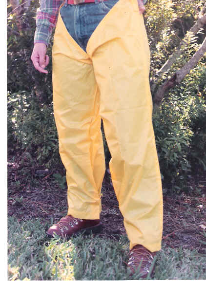 wpe55.jpg (38292 bytes)